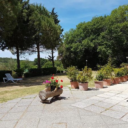 Locanda Il Boschetto Volterra Exterior foto